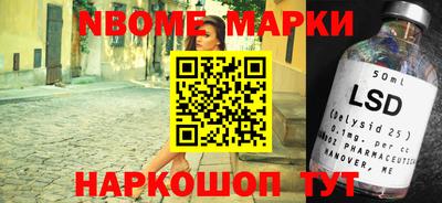 Альфа ПВП Моздок