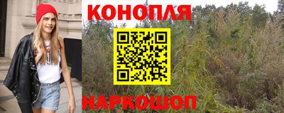 Альфа ПВП Моздок