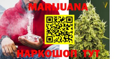 Альфа ПВП Моздок