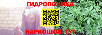 Альфа ПВП Моздок