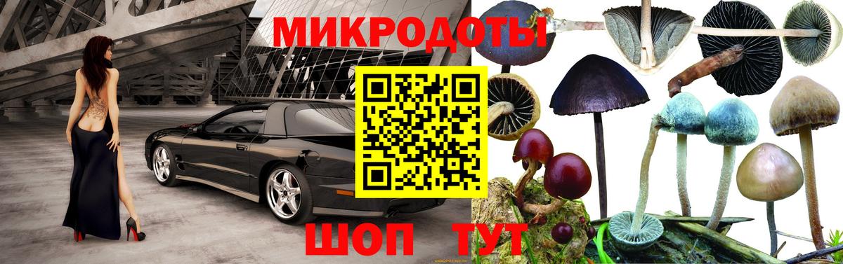 Псилоцибиновые грибы MAGIC MUSHROOMS Дальнегорск