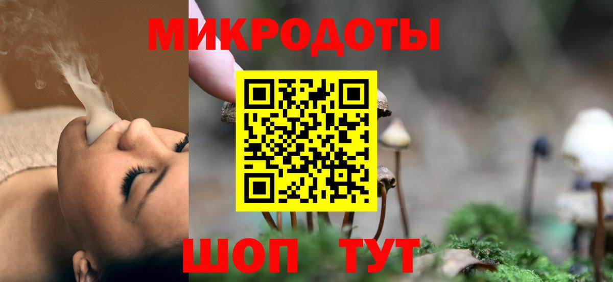 Дальнегорск  Псилоцибиновые грибы Psilocybine cubensis  Вход с VPN 